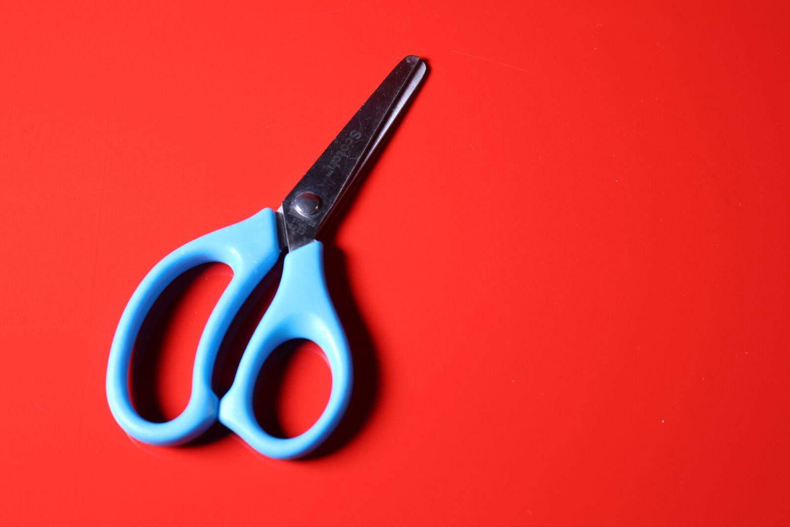 Canon EOS 700D (EOS Rebel T5i / EOS Kiss X7i) sample photo. Scissors, cut, tool photography