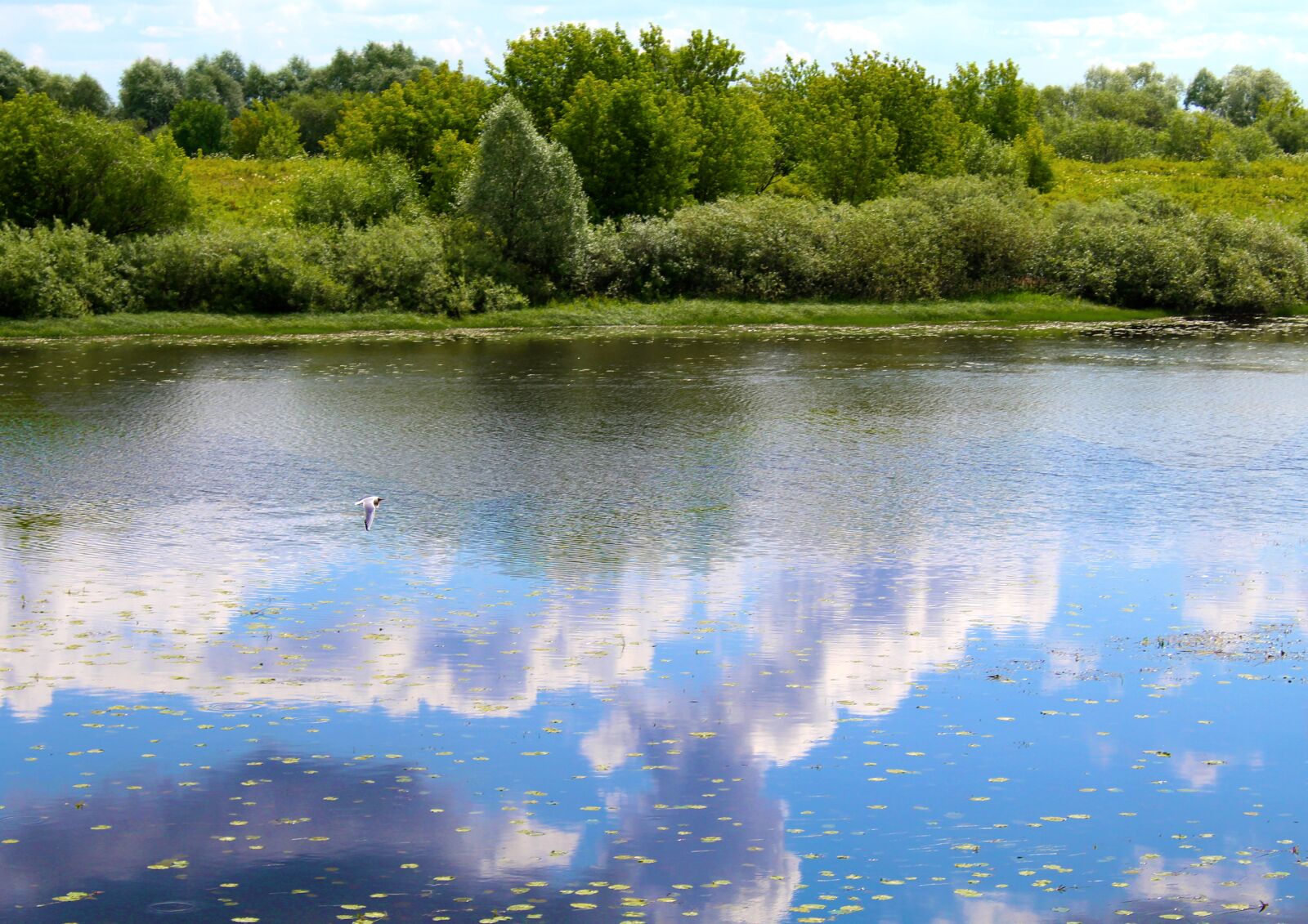 Canon EOS 1200D (EOS Rebel T5 / EOS Kiss X70 / EOS Hi) sample photo. River, reflection, clouds photography