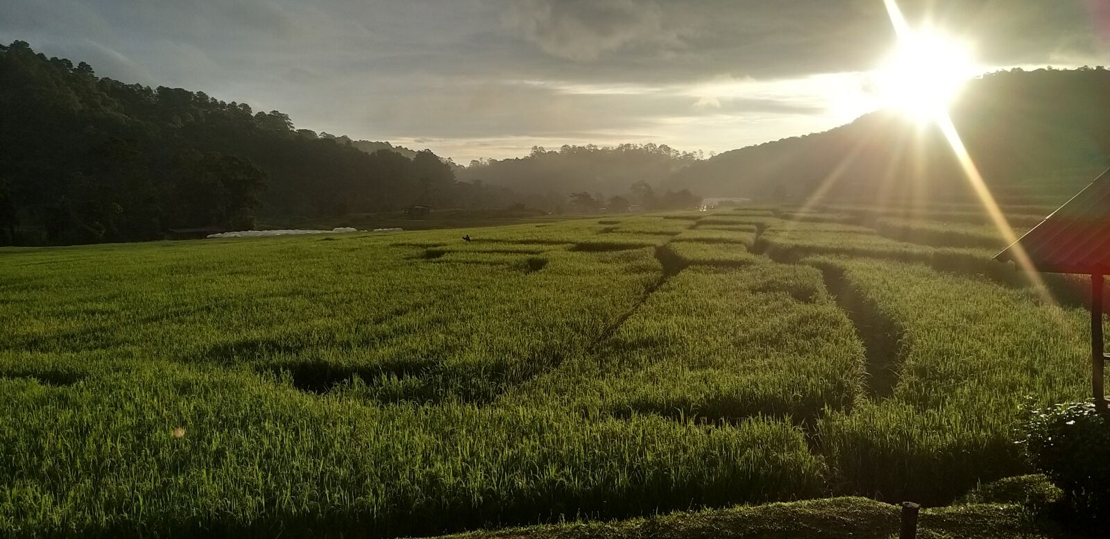 Samsung Galaxy A9 (2018) sample photo. Nature, refreshing, thailand photography