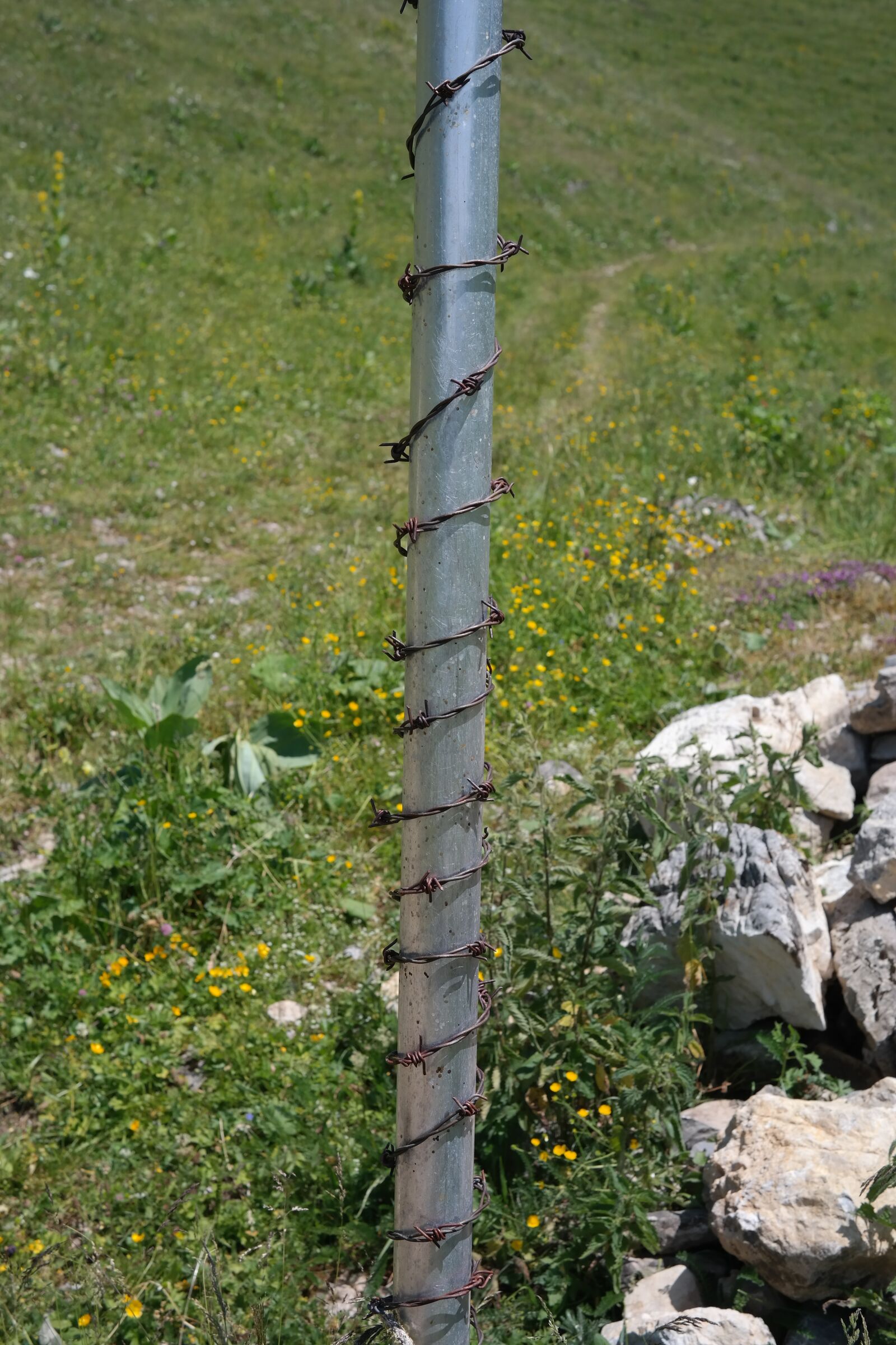 Samsung NX300 sample photo. Post, barbed wire, protection photography