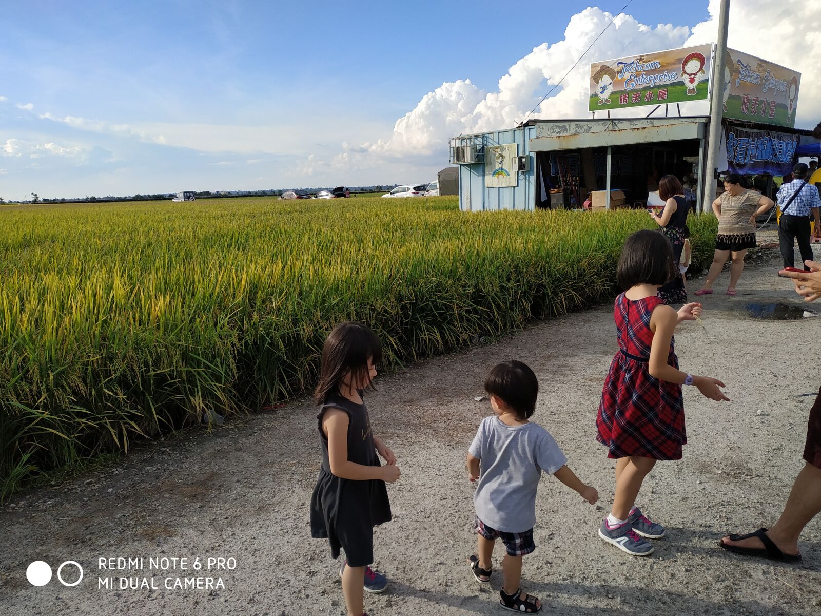 Xiaomi Redmi Note 6 Pro sample photo. Paddy, field, trip photography