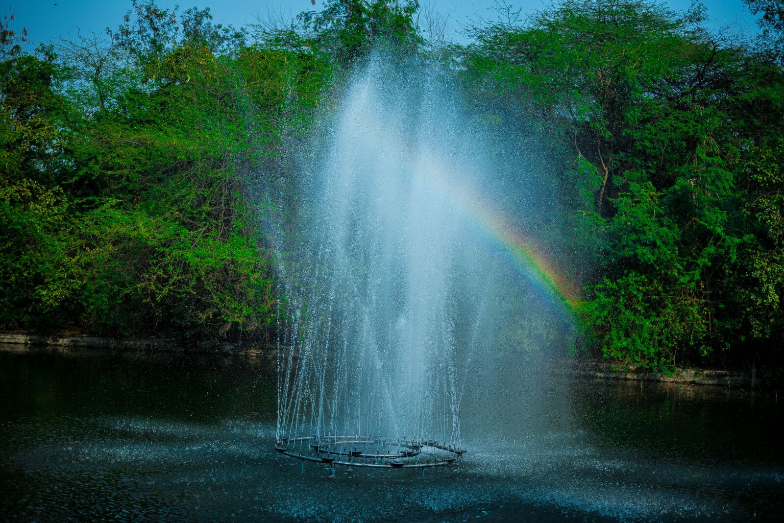 Nikon D750 sample photo. Water, rainbow, colors photography
