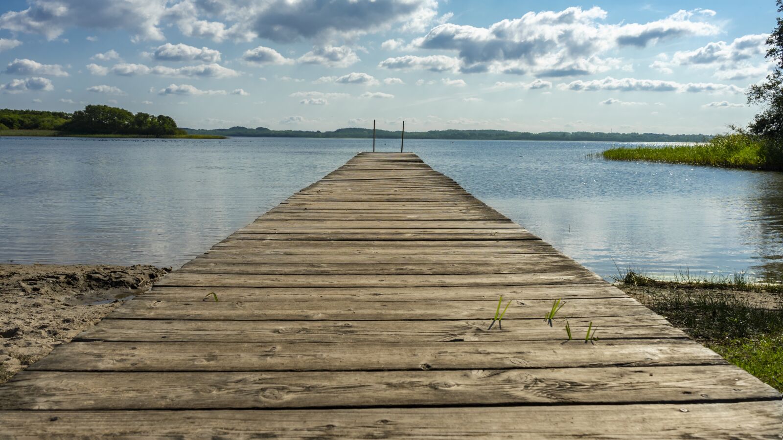 Sony a7 II + Sony FE 28-70mm F3.5-5.6 OSS sample photo. Web, boardwalk, nature photography