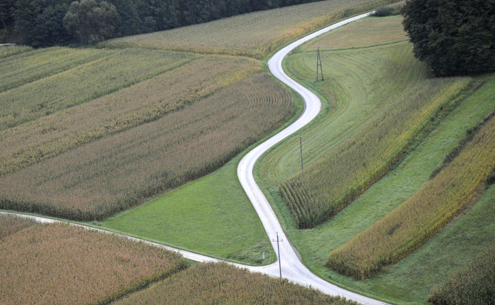 Nikon D300 sample photo. Landscape, aerial view, bird's photography