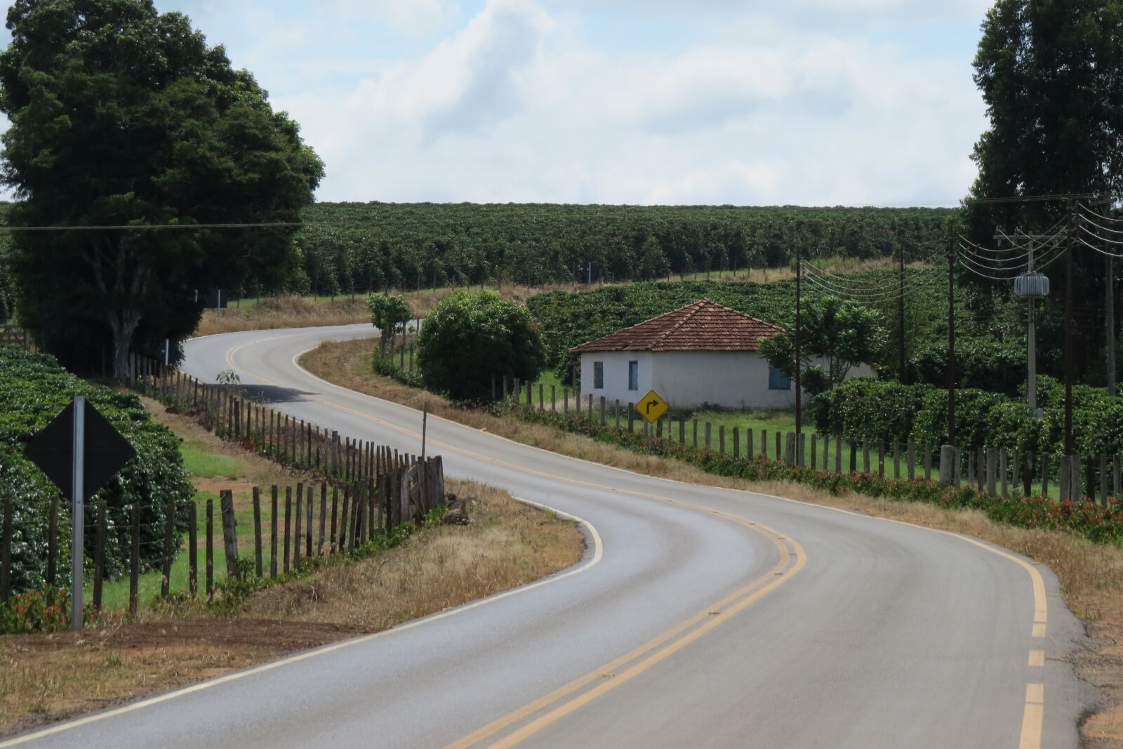 Canon PowerShot SX50 HS sample photo. Landscape, road, trip photography