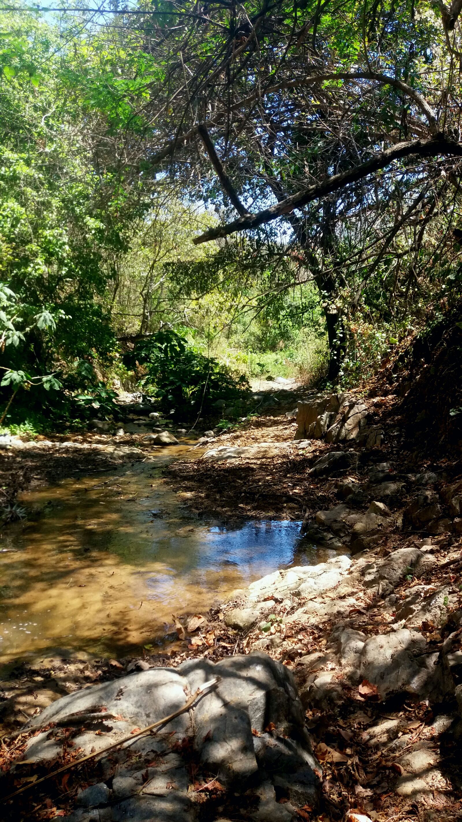 Samsung Galaxy J5 sample photo. Naturaleza, lago, arboles photography