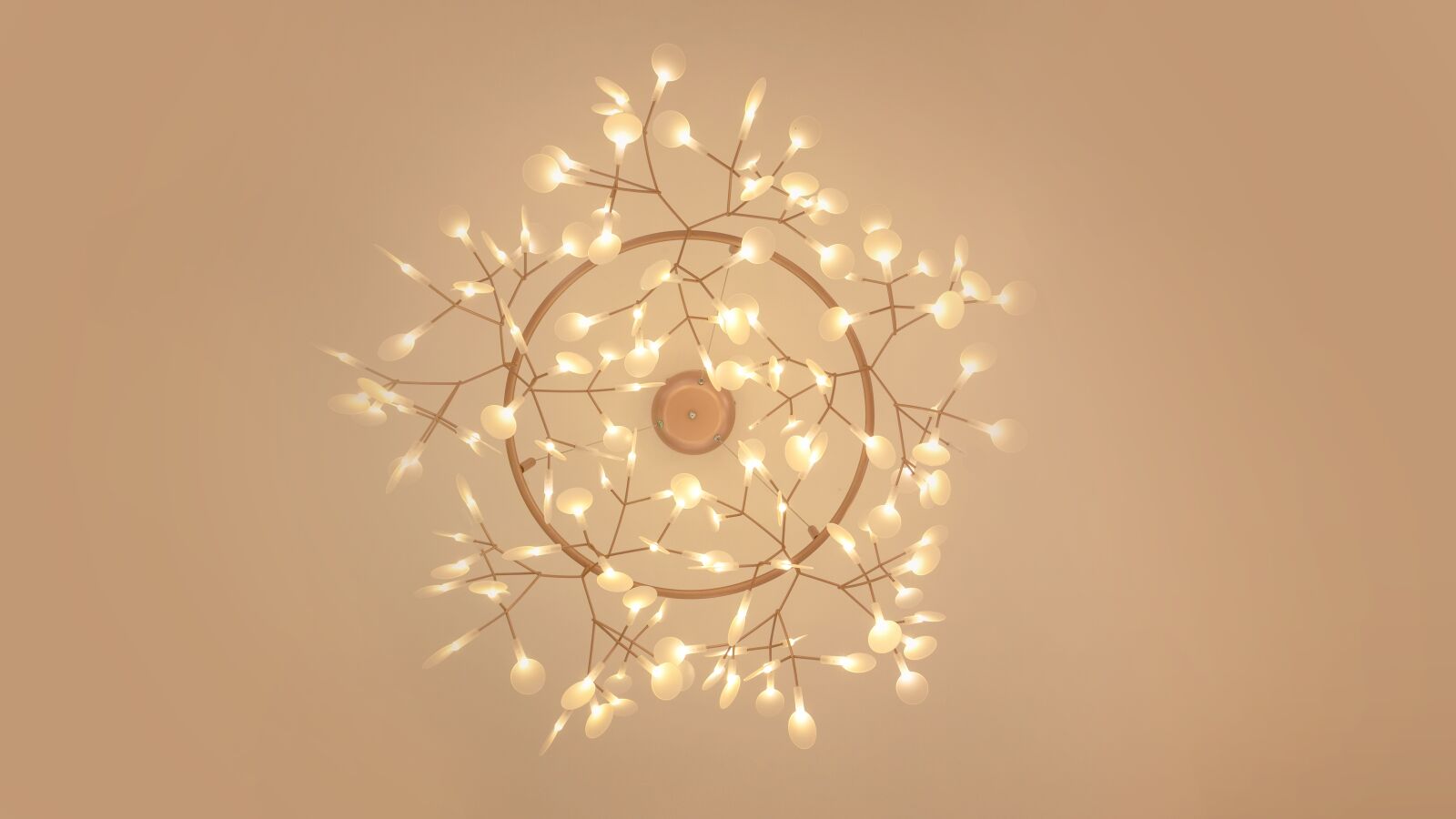 Canon EF 16-35mm F2.8L II USM sample photo. Lamp, light, light spot photography