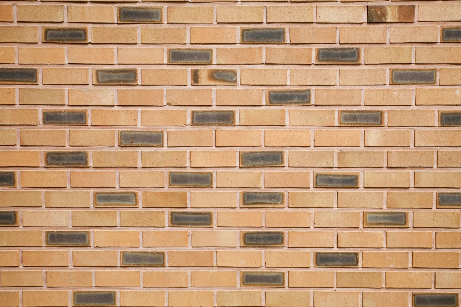Canon EOS 5D sample photo. Block, texture, background photography
