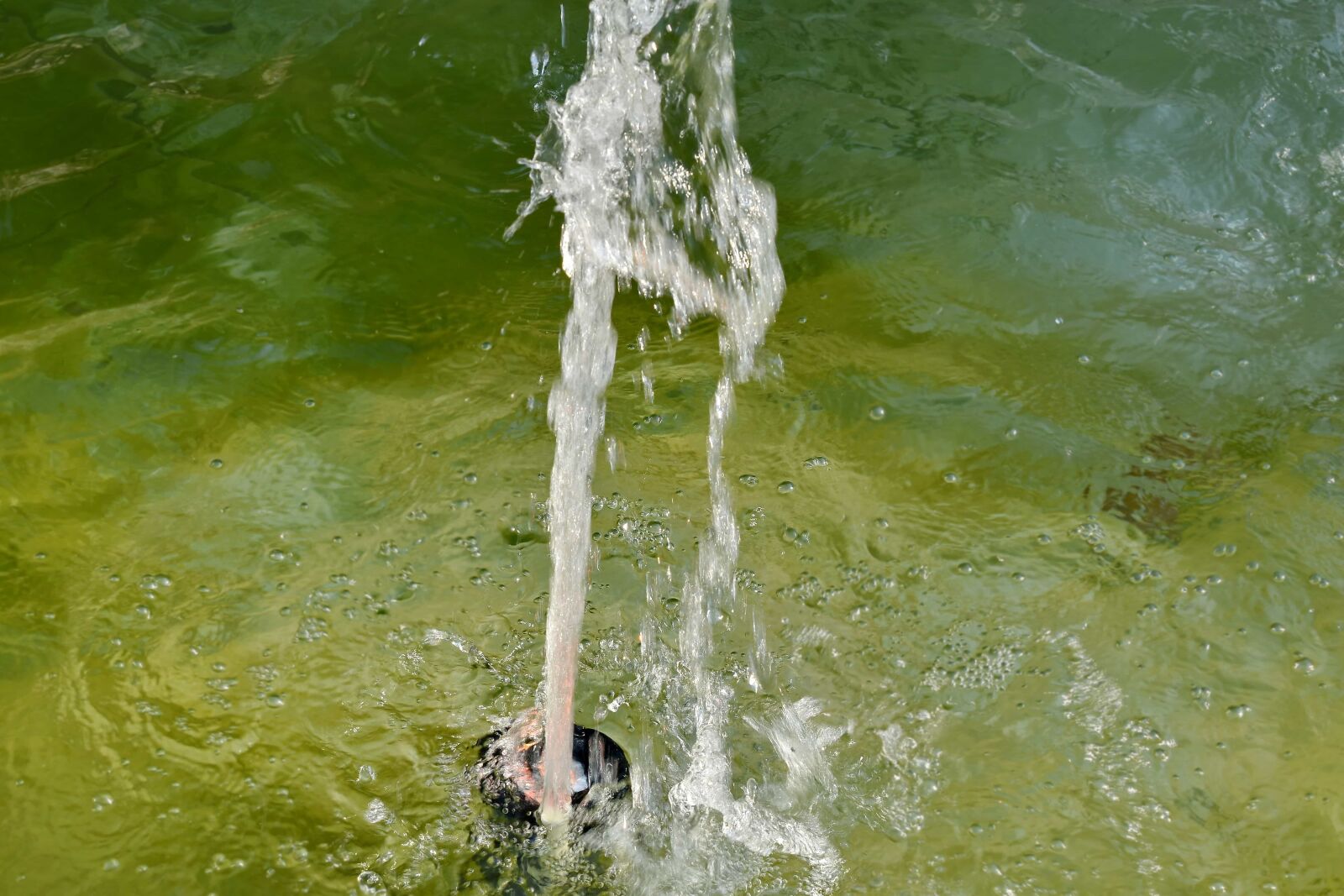 Nikon D5500 sample photo. Fountain, jump, splash, water photography