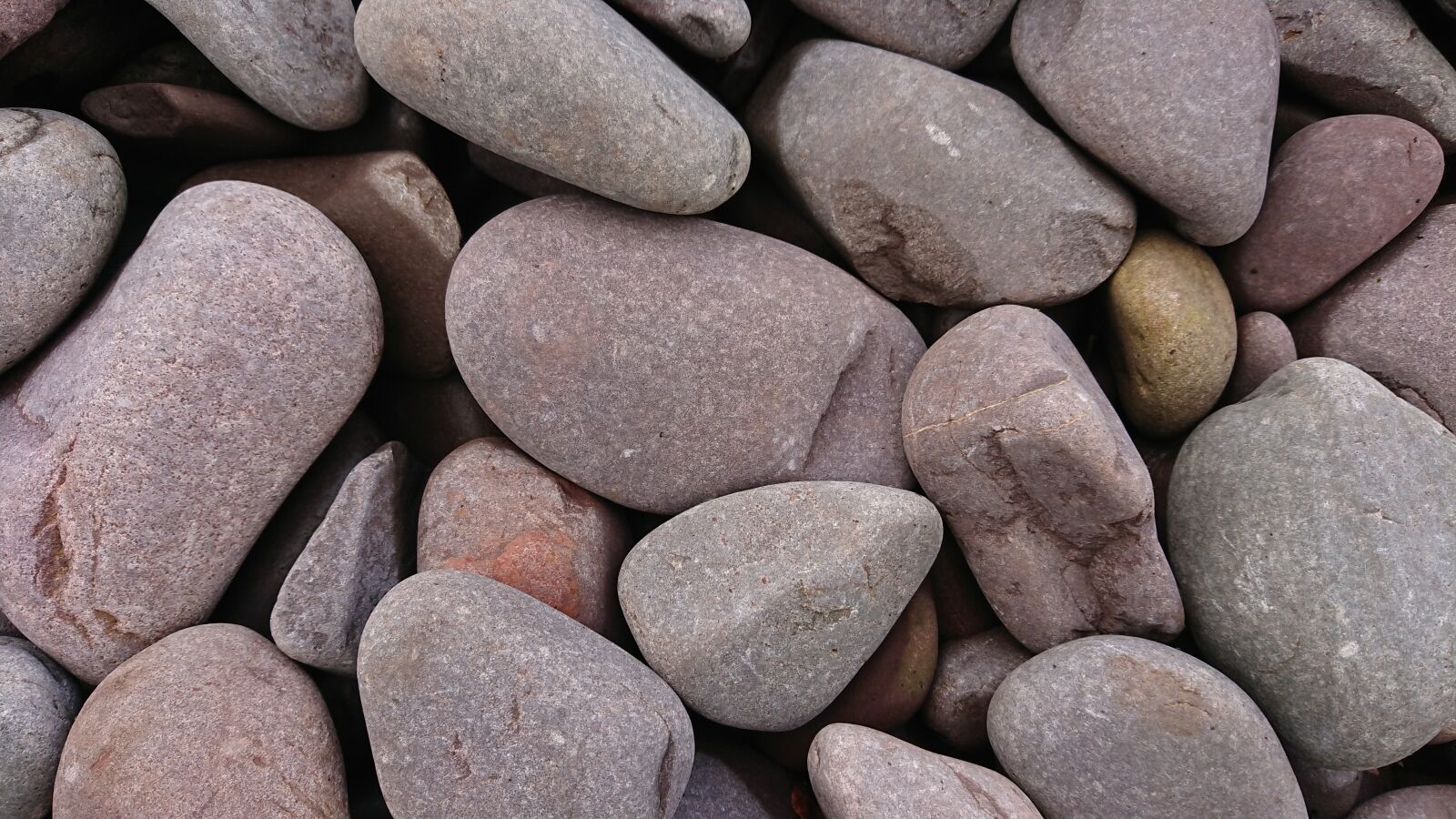 Sony Xperia XZ1 Compact sample photo. Pebbles, beach, stones photography