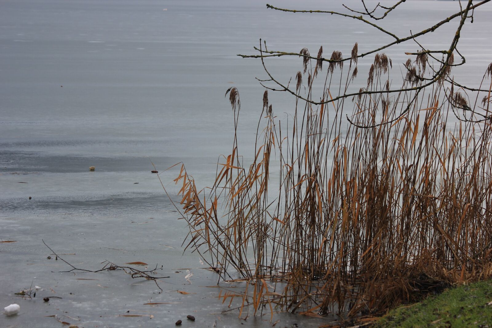 Canon EOS 550D (EOS Rebel T2i / EOS Kiss X4) sample photo. Walchsee, vacations, austria photography