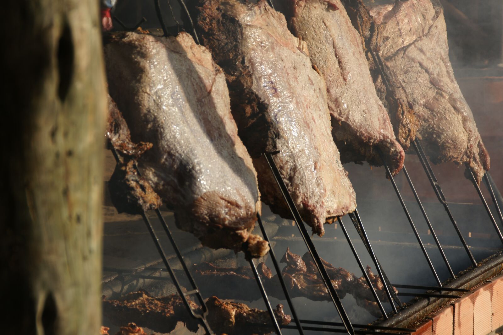 Sony Alpha DSLR-A700 sample photo. Barbecue, meat, rio grande photography