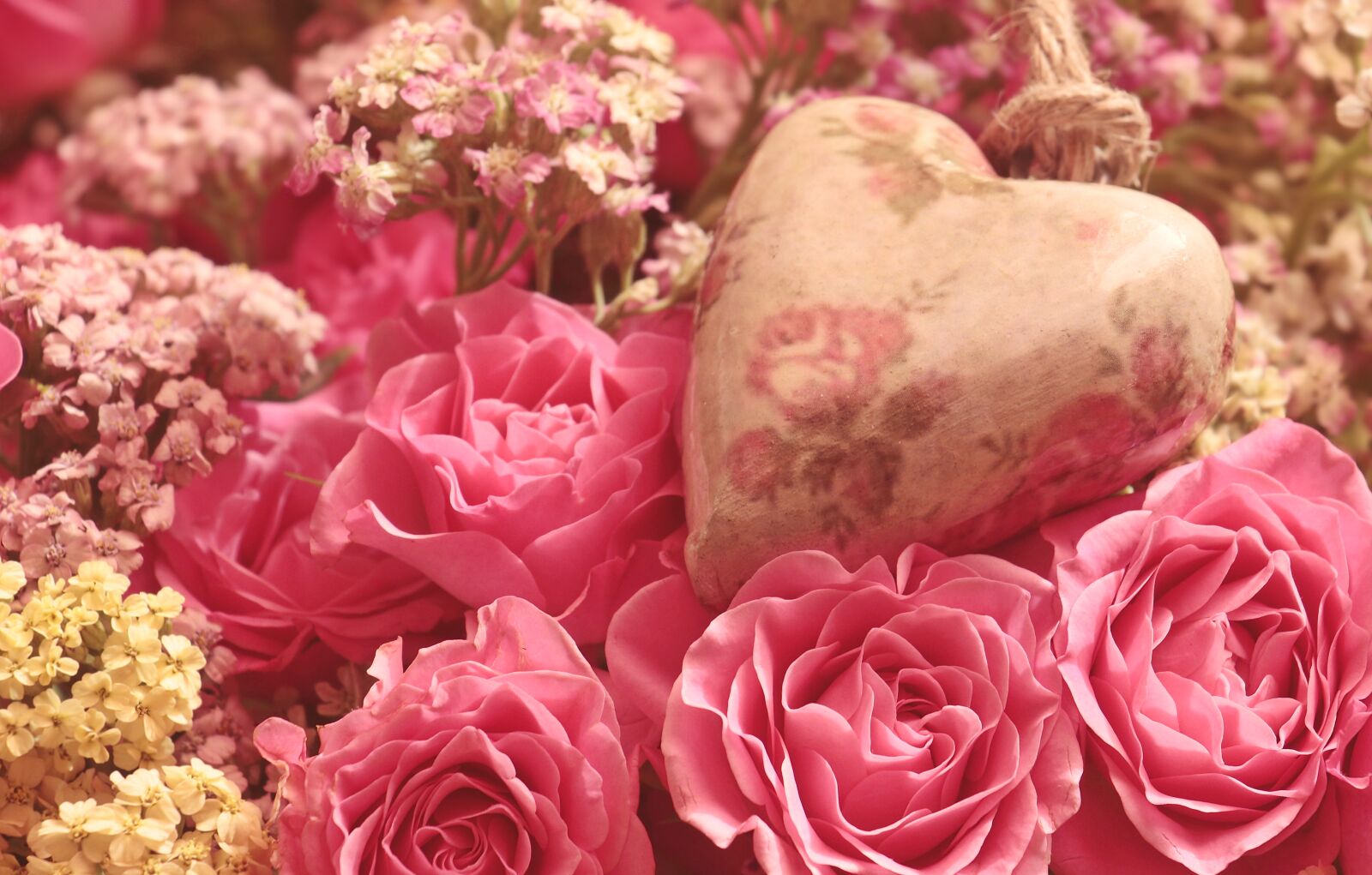 Canon EOS 100D (EOS Rebel SL1 / EOS Kiss X7) sample photo. Roses, heart, noble roses photography