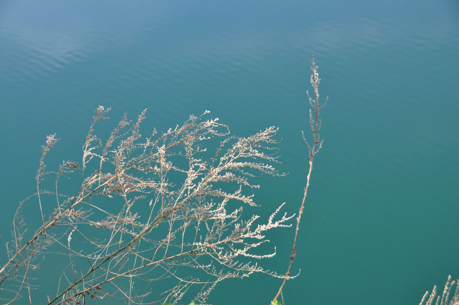 Nikon D90 sample photo. Water, blue, clear photography