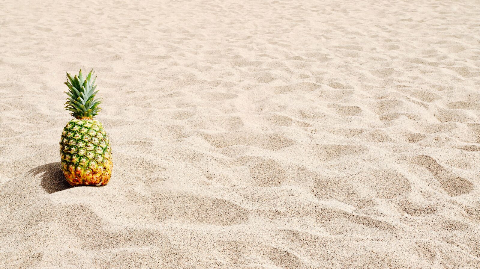 Canon 24-70mm F2.8 DG OS HSM | Art 017 sample photo. Sand, pineapple, beach photography