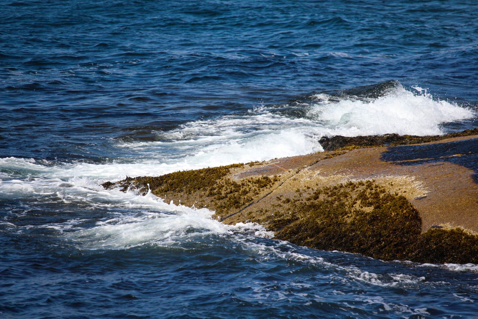 Canon EOS 700D (EOS Rebel T5i / EOS Kiss X7i) + Canon EF-S 55-250mm F4-5.6 IS STM sample photo. Rocks, water, ocean photography