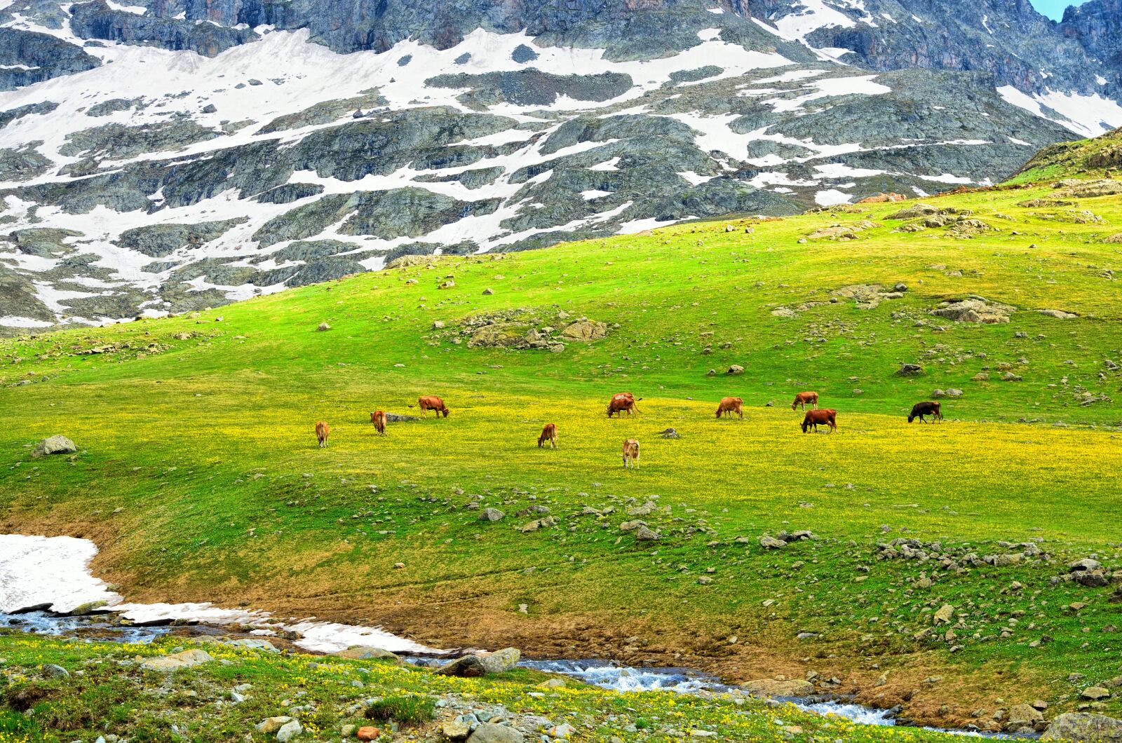 Nikon D5100 sample photo. Mountain, nature, panoramic photography