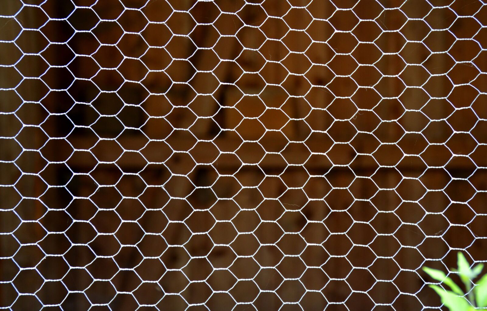 Nikon D3200 sample photo. Texture, wire, stall photography