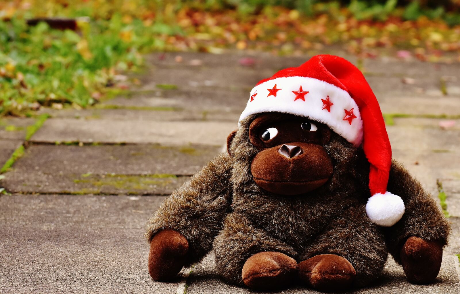 Nikon D7200 sample photo. Christmas, santa hat, stuffed photography