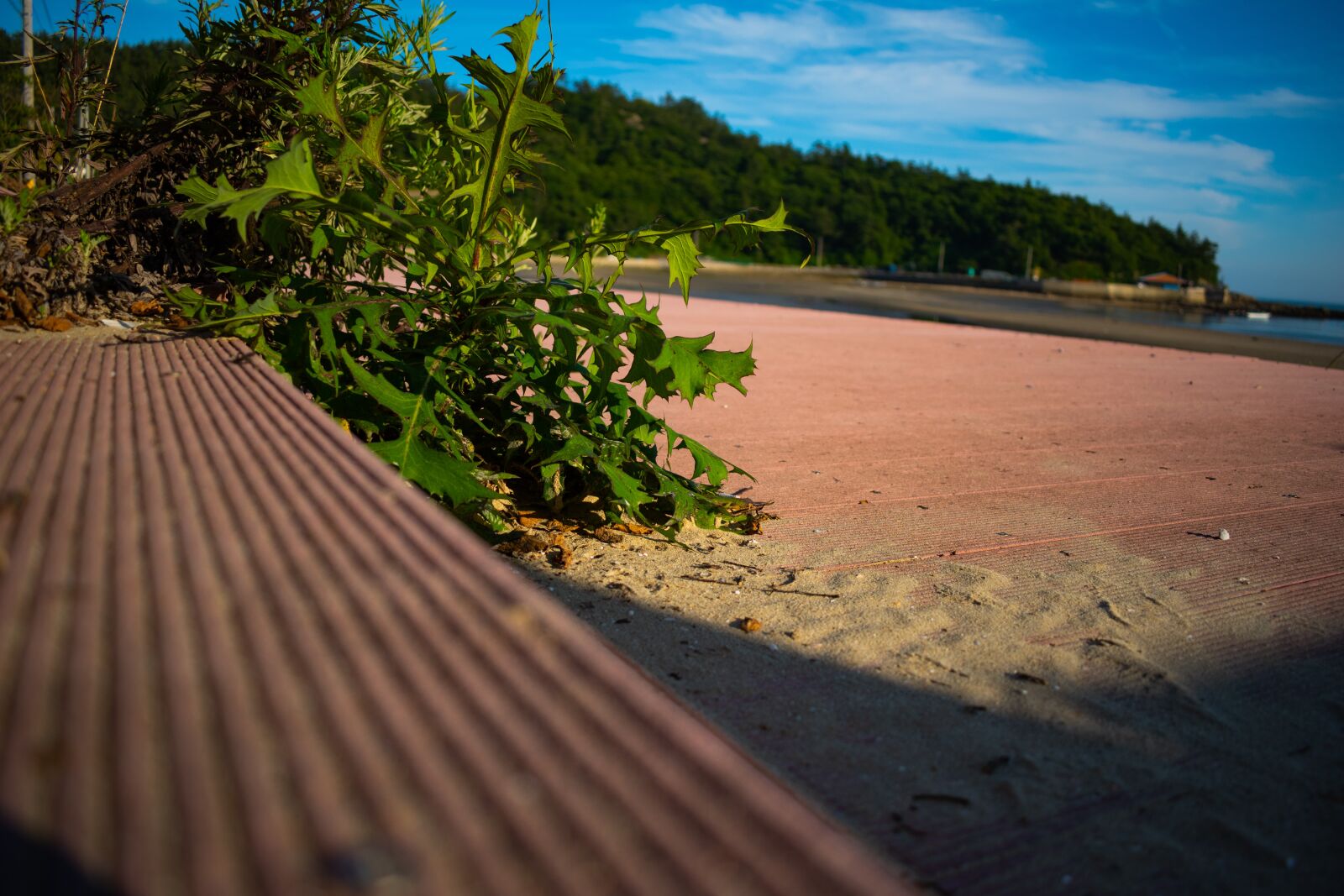 Nikon D5600 sample photo. Natural, beauty, light photography