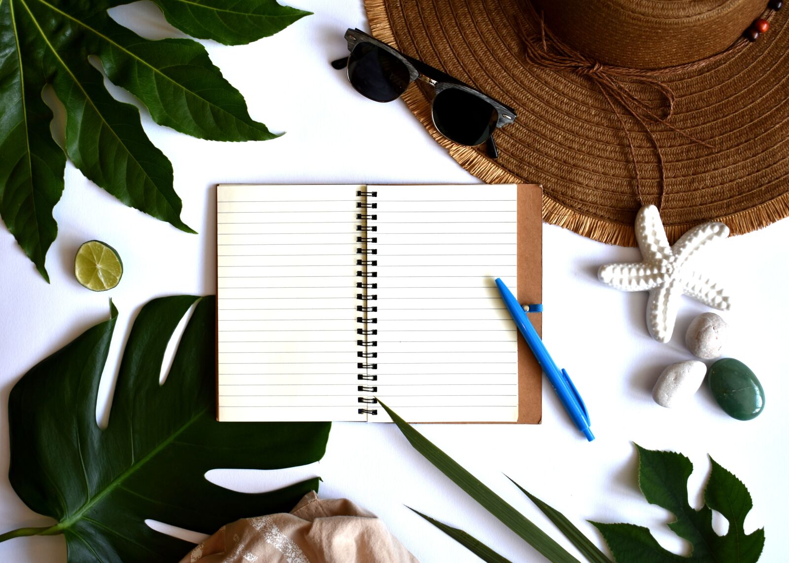Nikon D3400 sample photo. Summer, leaves, tropical photography