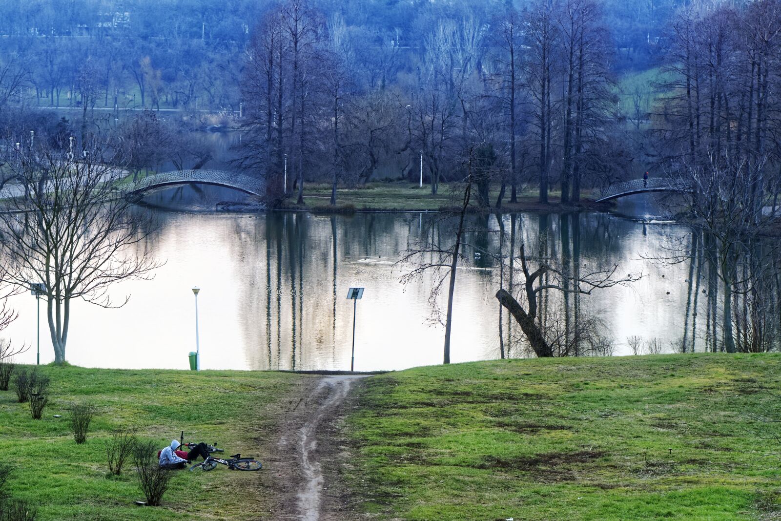 Nikon D5300 sample photo. Landscape, winter, park photography