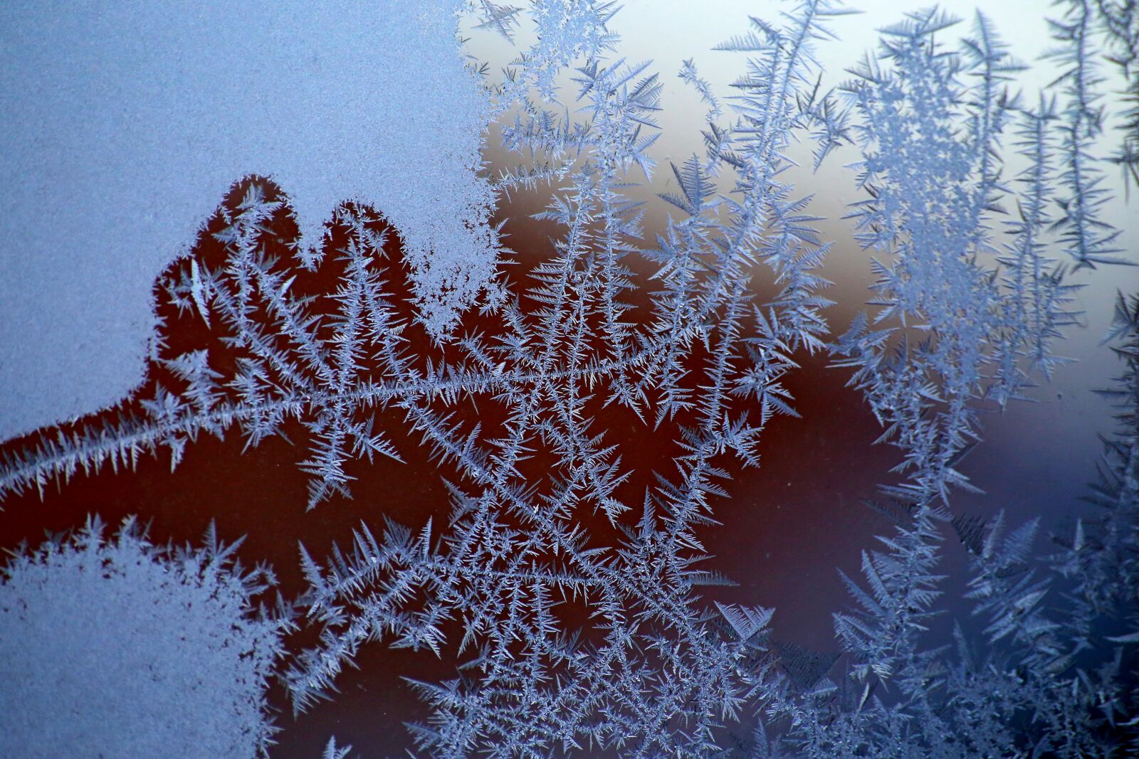 Canon EOS 6D sample photo. Winter, leann, snow photography