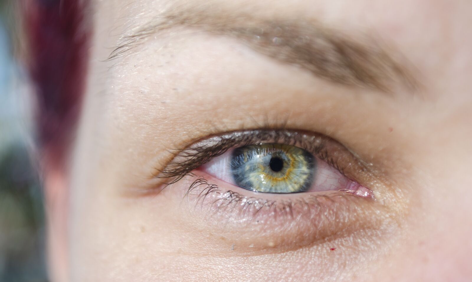 Nikon D5100 sample photo. Eye, human, face photography