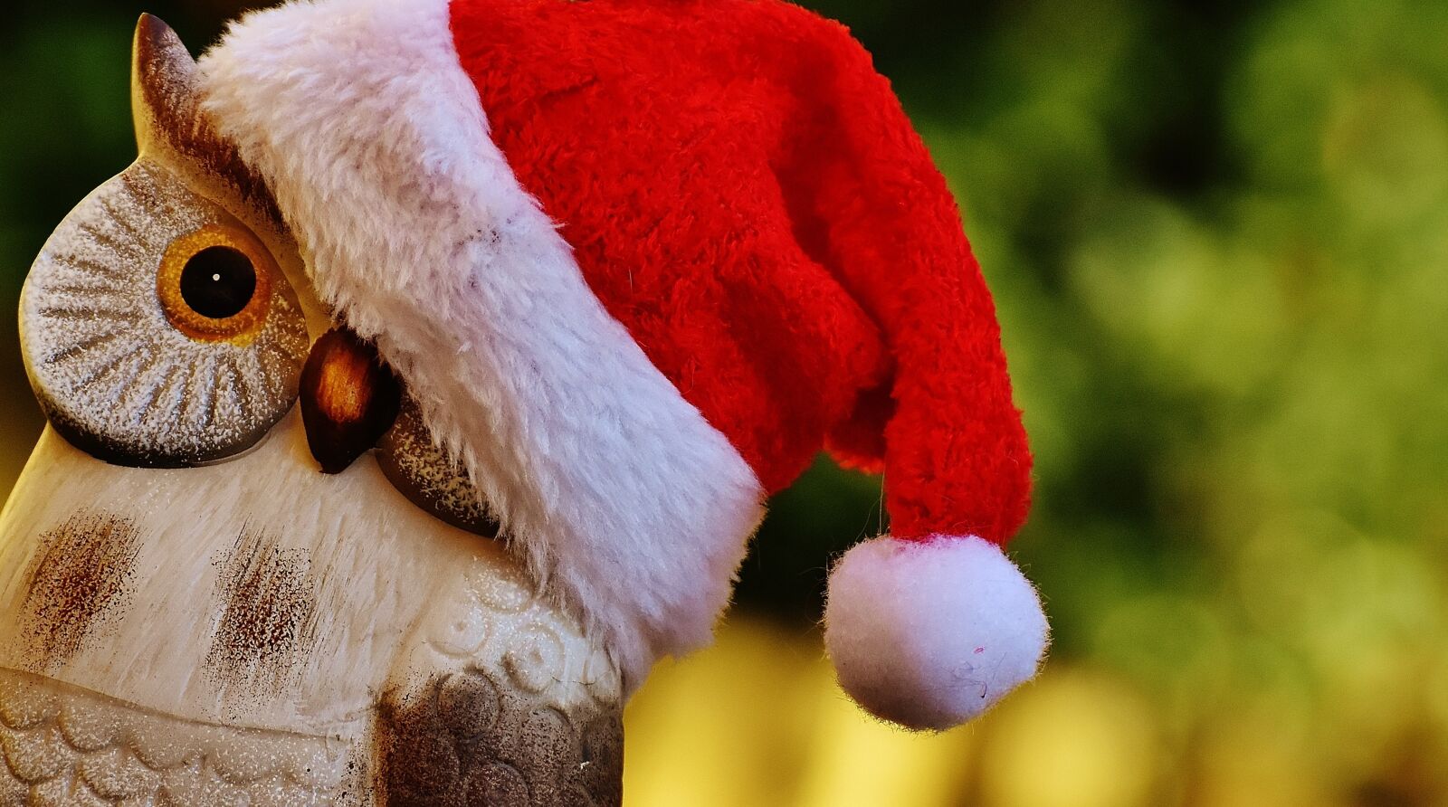 Nikon D7200 sample photo. Christmas, owl, santa hat photography