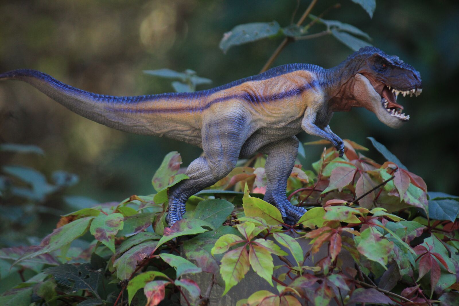 Canon EF-S 55-250mm F4-5.6 IS sample photo. Dinosaurs, toy, dinosaur photography