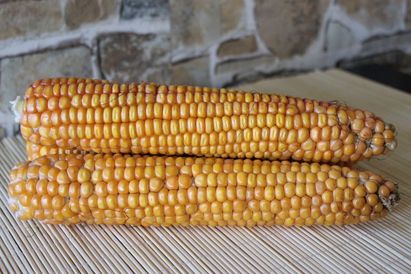 Canon EOS 600D (Rebel EOS T3i / EOS Kiss X5) sample photo. Corn, corn on the photography