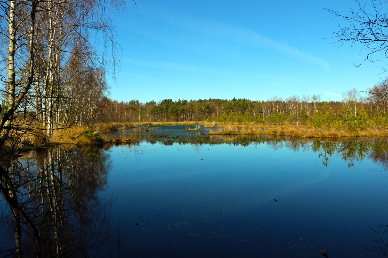 Canon EOS 70D sample photo. Moor, landscape, nature reserve photography