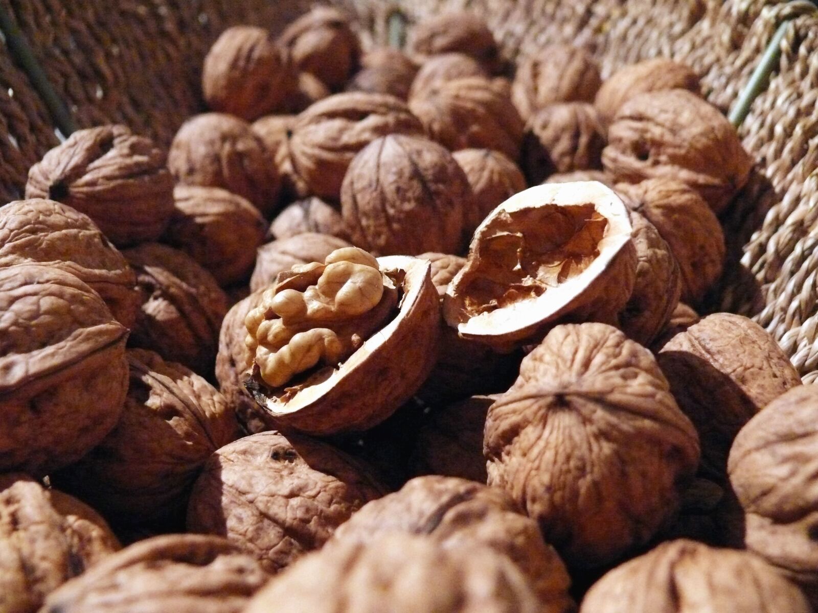 Panasonic DMC-FZ50 sample photo. Walnut, shell, wood, food photography