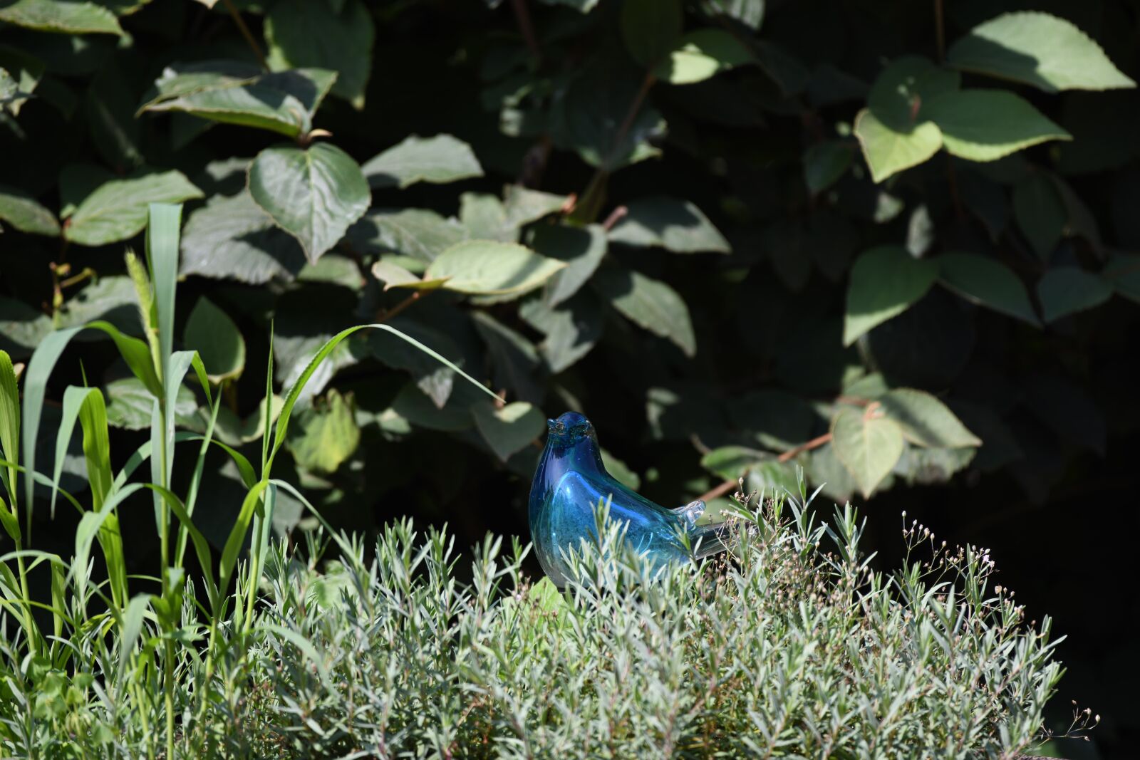 Nikon D850 sample photo. Figurine, glass, bird photography
