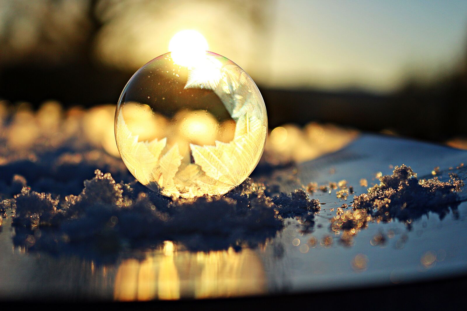 Canon EOS 100D (EOS Rebel SL1 / EOS Kiss X7) sample photo. Soap bubble, frost ball photography
