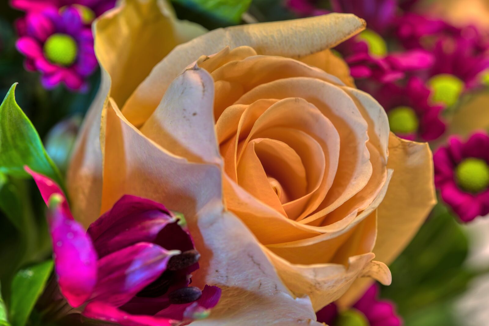 Nikon D750 sample photo. Bouquet, rose, flowers photography