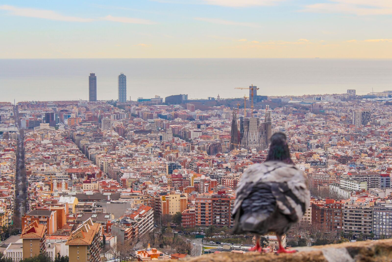 Canon EOS 700D (EOS Rebel T5i / EOS Kiss X7i) sample photo. Barcelona, sagrada fam lia photography