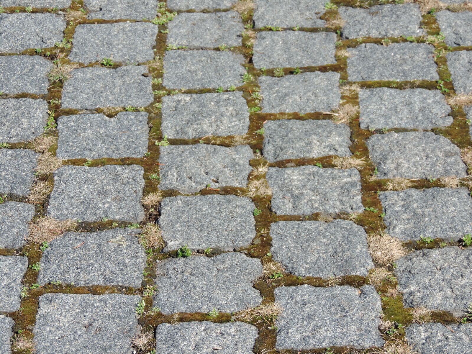 Nikon Coolpix P520 sample photo. Cobblestone, footpath, grass, paving photography