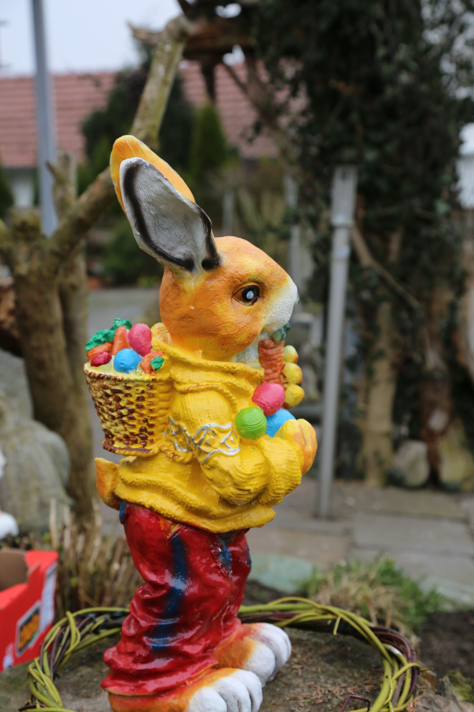 Canon EF 24-105mm F4L IS USM sample photo. Hare, easter bunny, ears photography