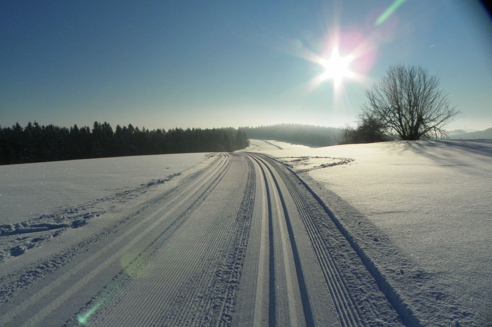 Kodak EasyShare Z981 sample photo. Winter sun, snow, tracks photography