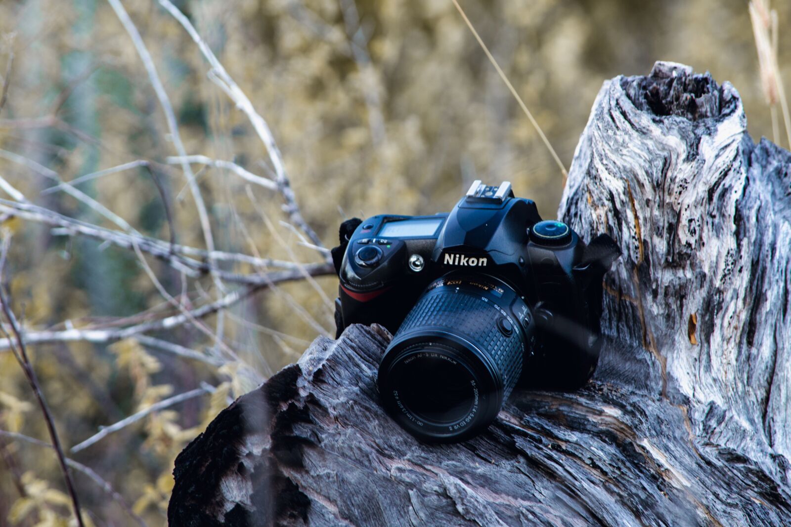 Nikon D3200 sample photo. Nikon, lens, camera photography