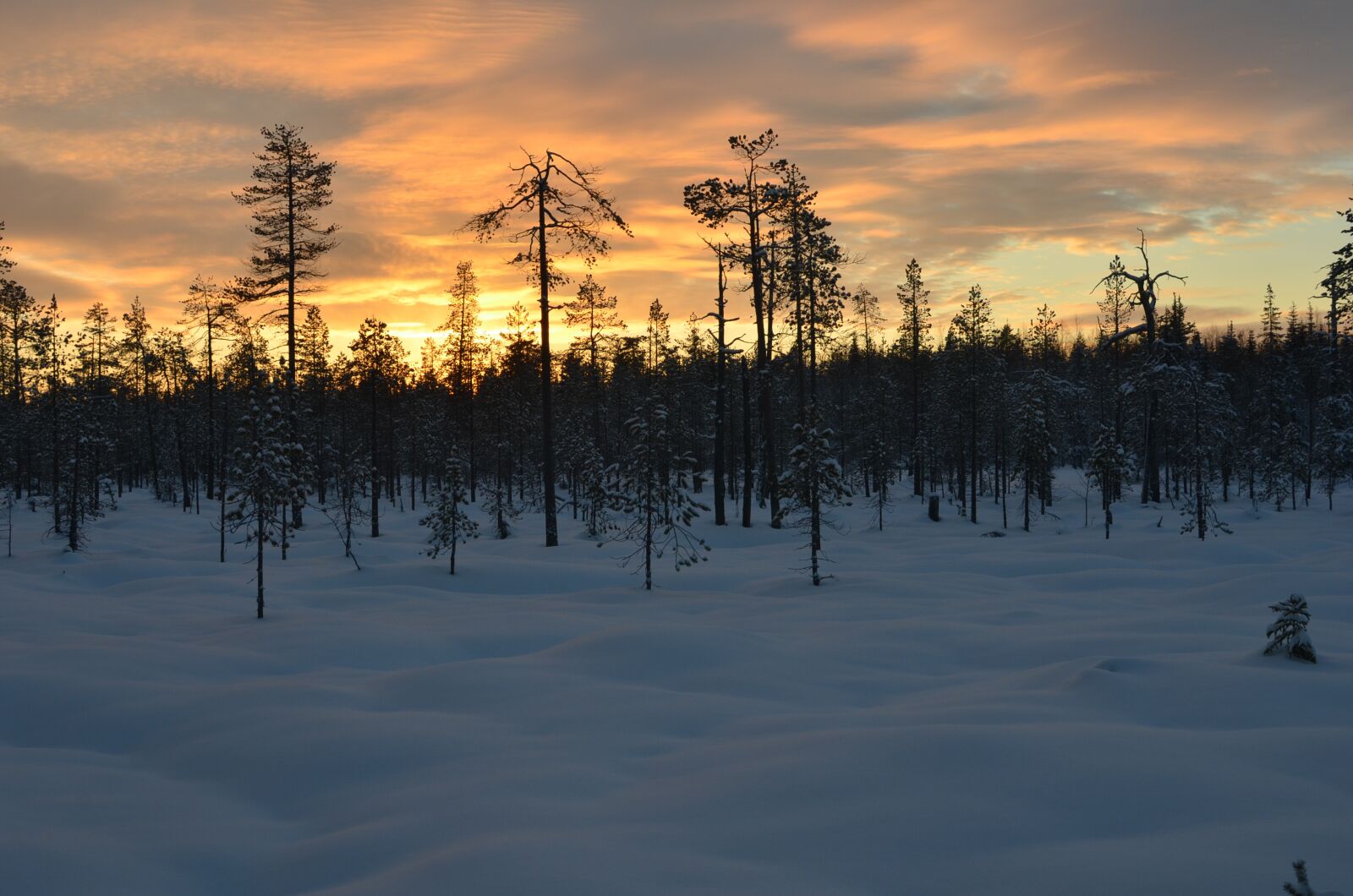Nikon D7000 sample photo. Finland, snow, la photography
