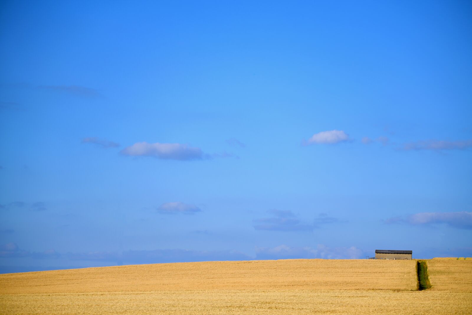 Nikon D850 sample photo. Sky, summer, cereals photography