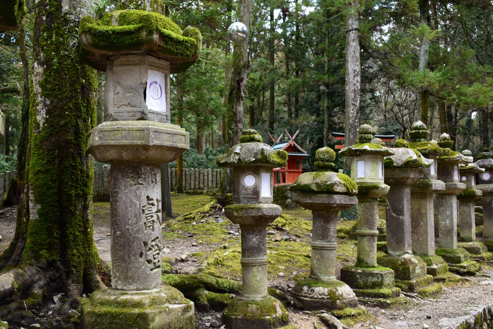 Nikon D5600 sample photo. Japan, nara, stone lantern photography