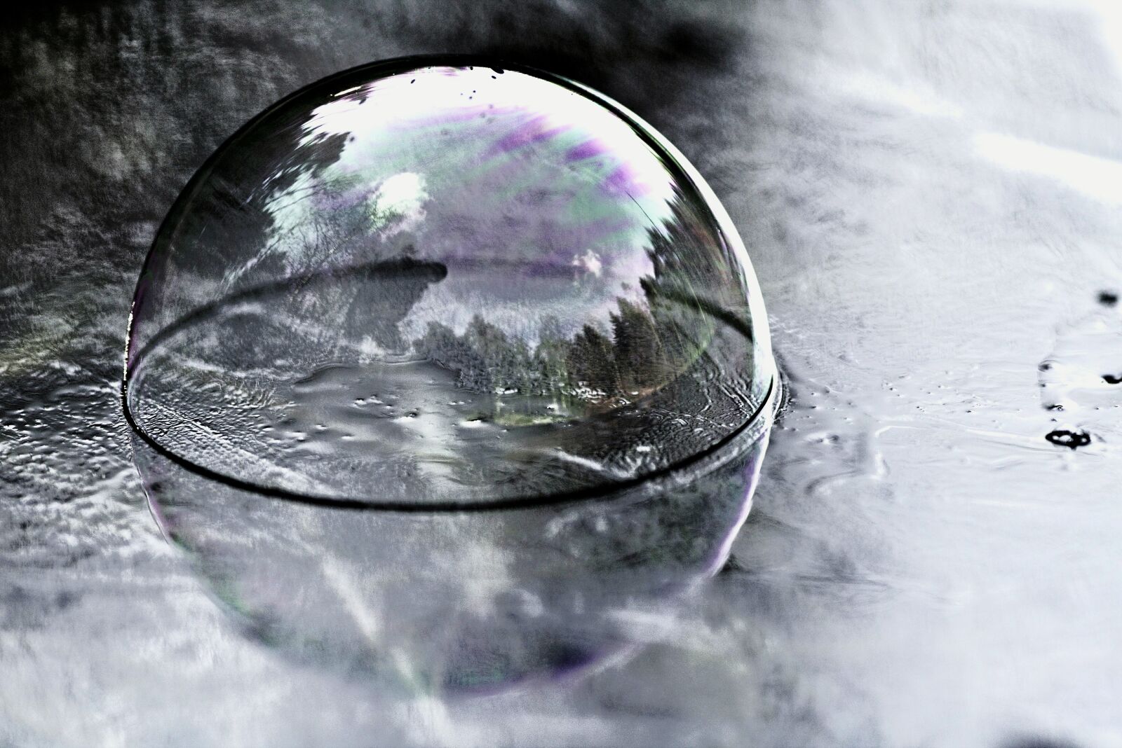Canon EOS 750D (EOS Rebel T6i / EOS Kiss X8i) sample photo. Reflection, glass, bubble photography