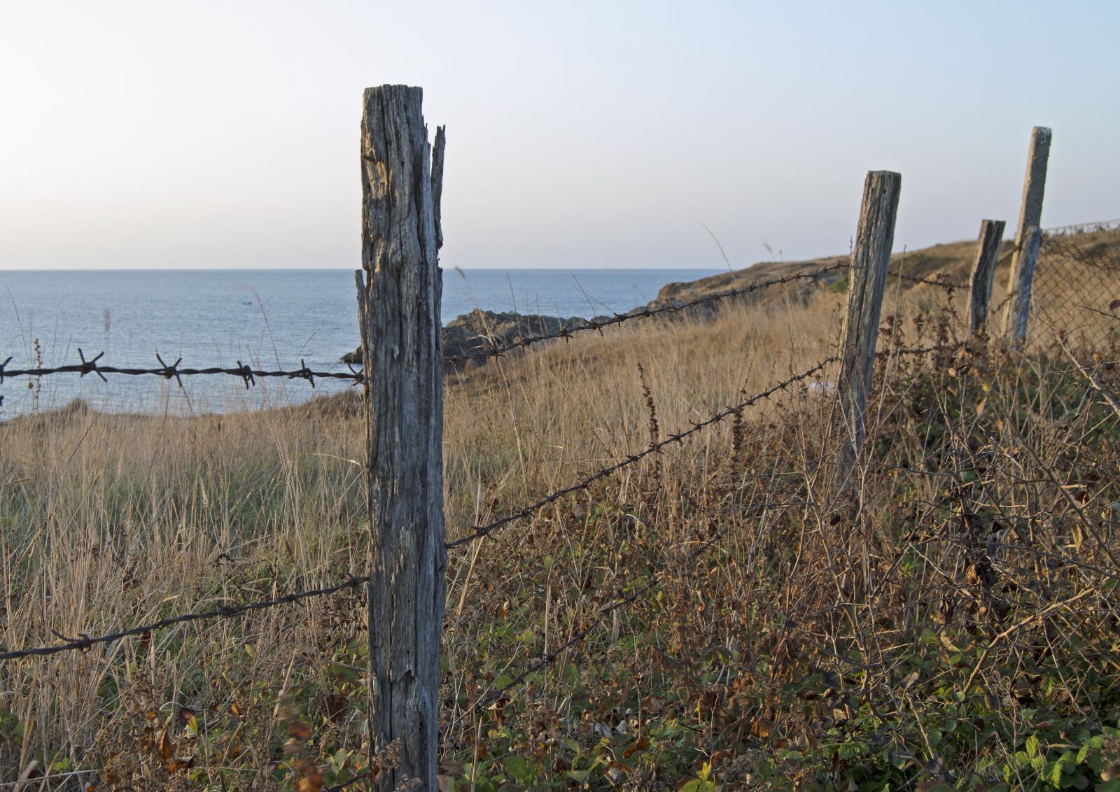 Nikon D5100 sample photo. Fence posts, barbed wire photography