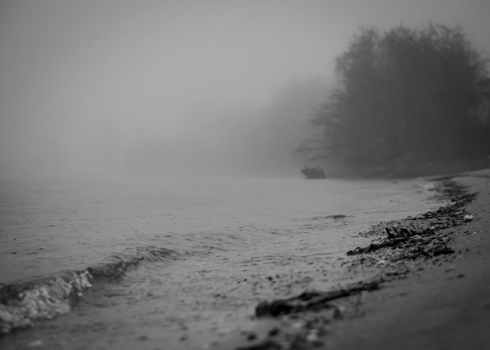 Nikon D7100 sample photo. Beach, water, fog photography