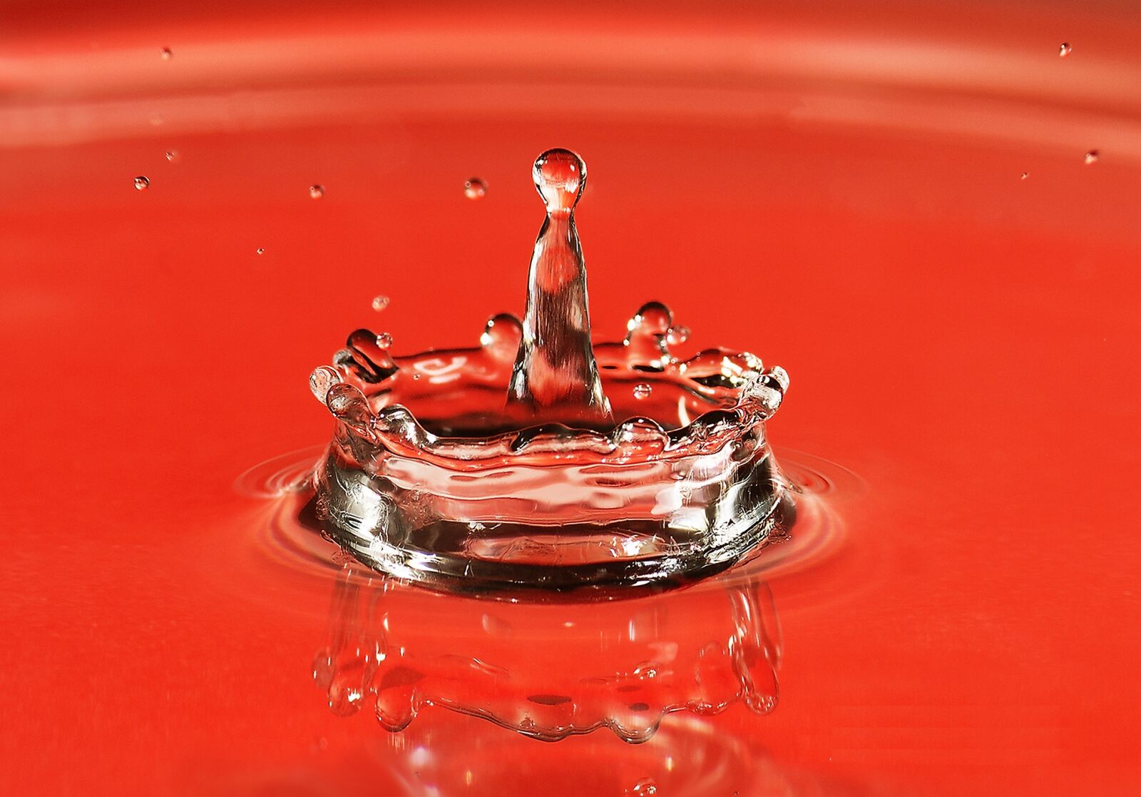 Nikon D7100 sample photo. Drop, water, macro photography