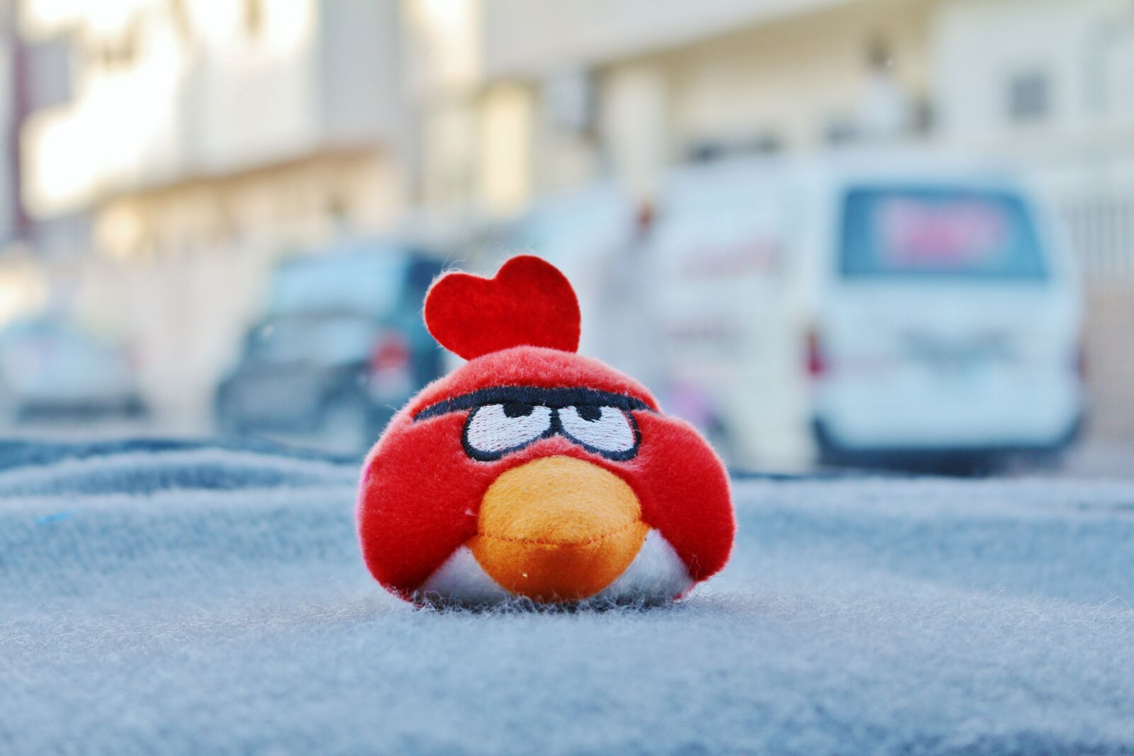 Canon EOS 700D (EOS Rebel T5i / EOS Kiss X7i) sample photo. Angry bird, red, angry photography