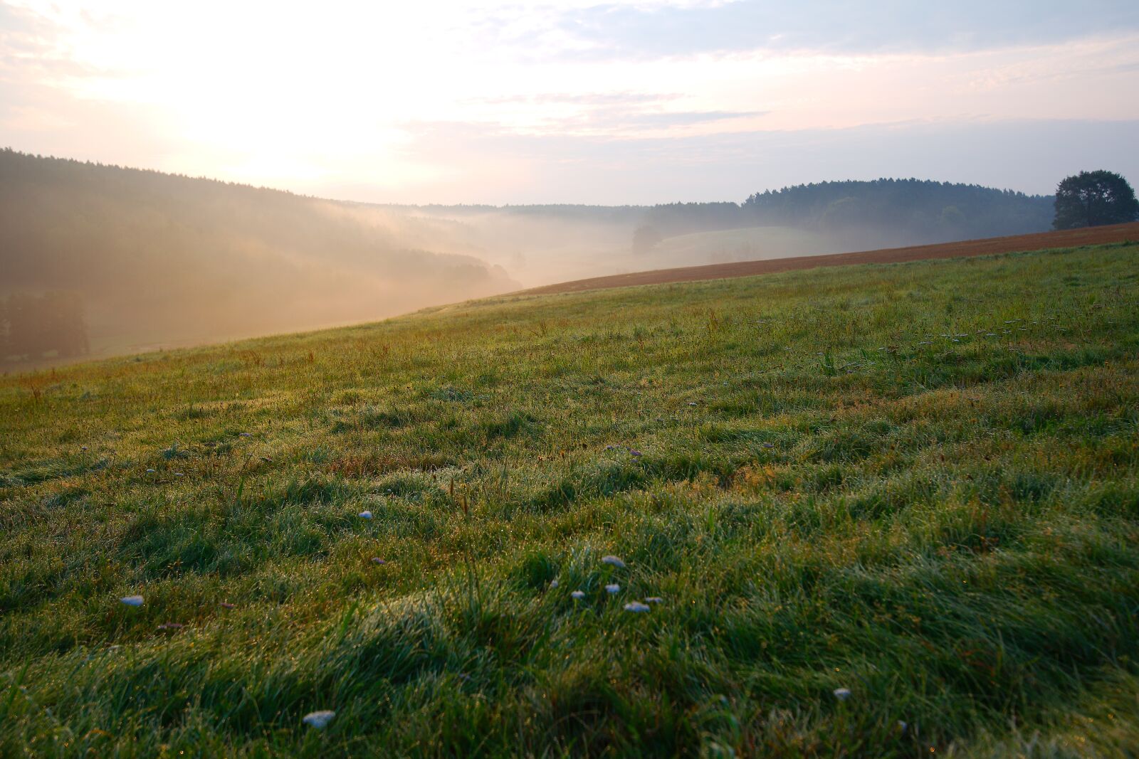 Canon EOS 6D sample photo. Panorama, nature, landscape photography